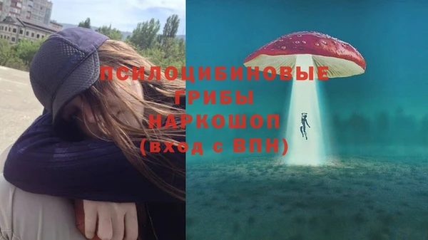 меф Пересвет