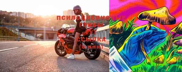 меф Пересвет