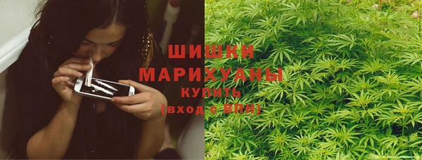 меф Пересвет