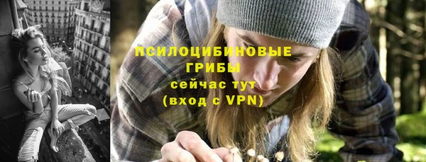 прущая мука Переславль-Залесский