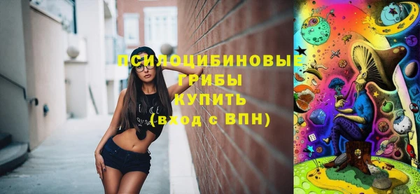 СК Пестово