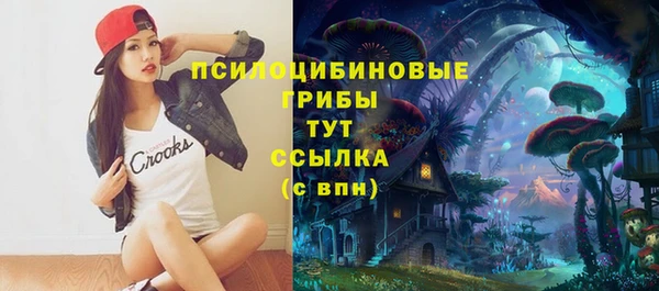СК Пестово