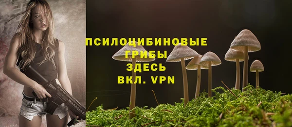 СК Пестово