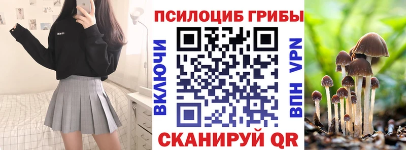 Псилоцибиновые грибы Psilocybine cubensis  Багратионовск 